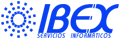 Ibe/x Servicios Informáticos