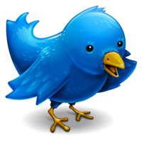 Twitter  Pitch: tu currículum online